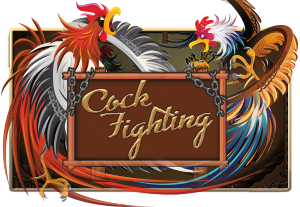 CockFighting